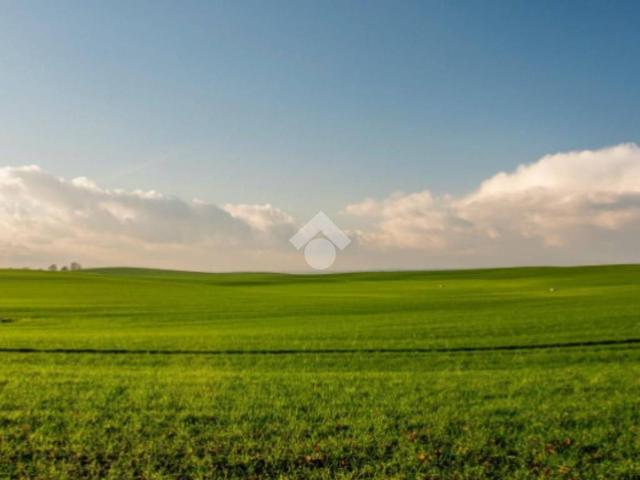 Terreno in vendita a San Cipriano, Roncade