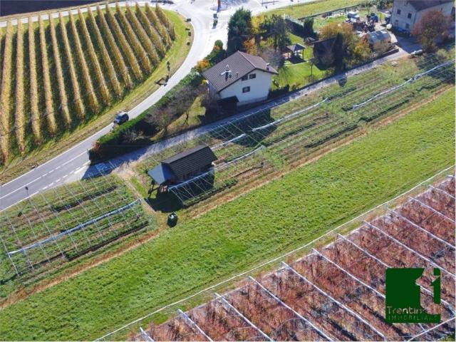 Terreno in vendita a Comunità Valsugana e Tesino, Roncegno