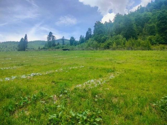 Terreno in vendita a Comunità Valsugana e Tesino, Roncegno