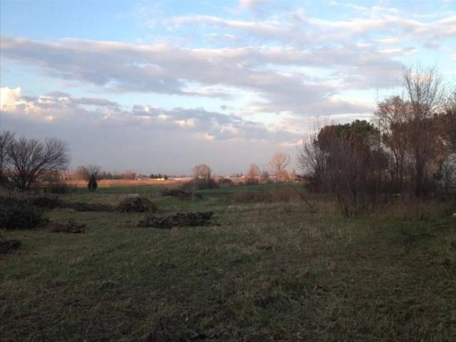 Terreno in vendita a Ronco All'adige, Veneto