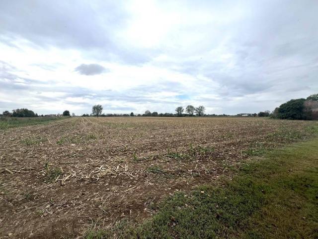 Terreno in vendita a Roncoferraro, Lombardia