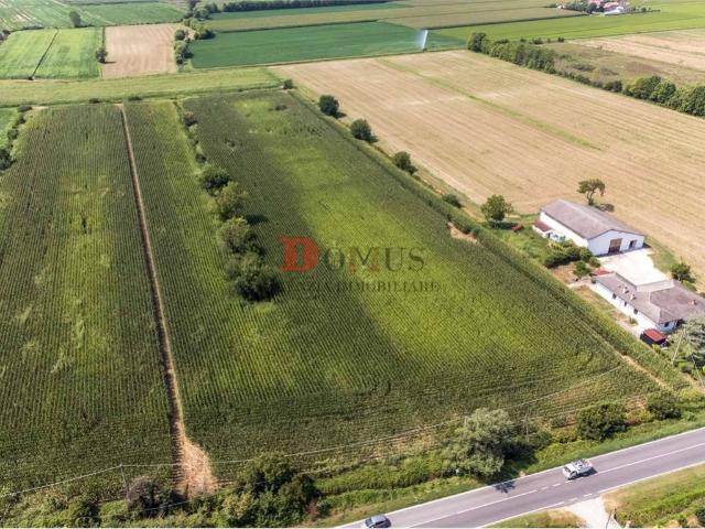 Terreno in vendita a Roncoferraro, Lombardia