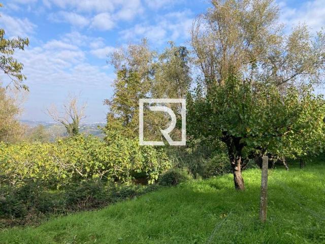 Terreno in vendita a Roncofreddo, Reggio Emilia