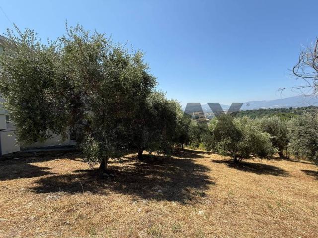 Terreno in vendita a Rosciano, Abruzzo