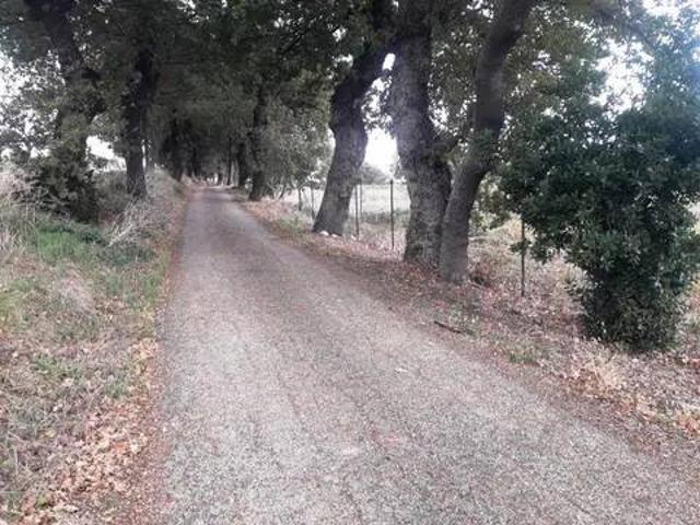 Terreno in vendita a Colli, Rosciano