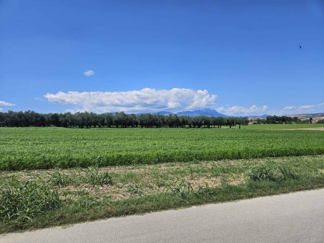 Terreno in vendita a Rosciano, Abruzzo