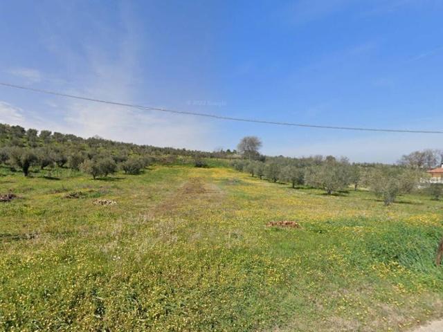 Terreno in vendita a Rosciano, Abruzzo