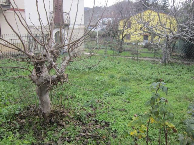 Terreno in vendita a Rosello, Abruzzo