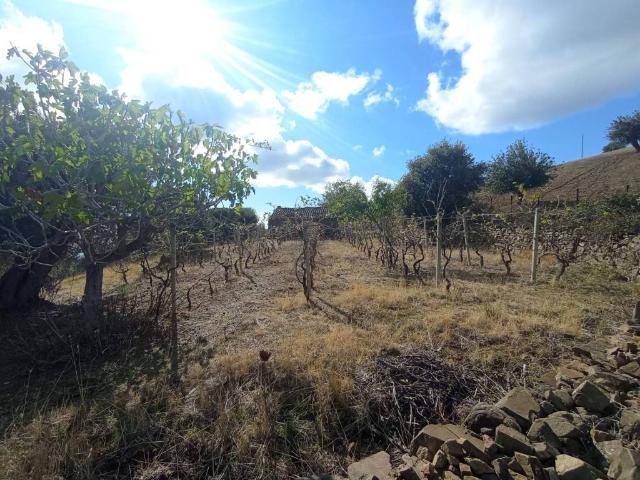 Terreno in vendita a Marina di Roseto Capo Spulico, Calabria