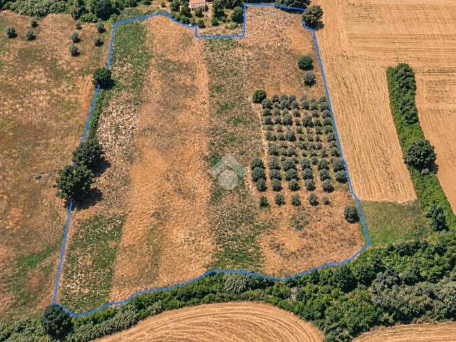 Terreno in vendita a Cologna Paese, Roseto degli Abruzzi