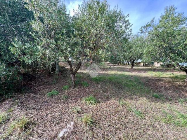Terreno in vendita a Giammartino, Roseto Degli Abruzzi