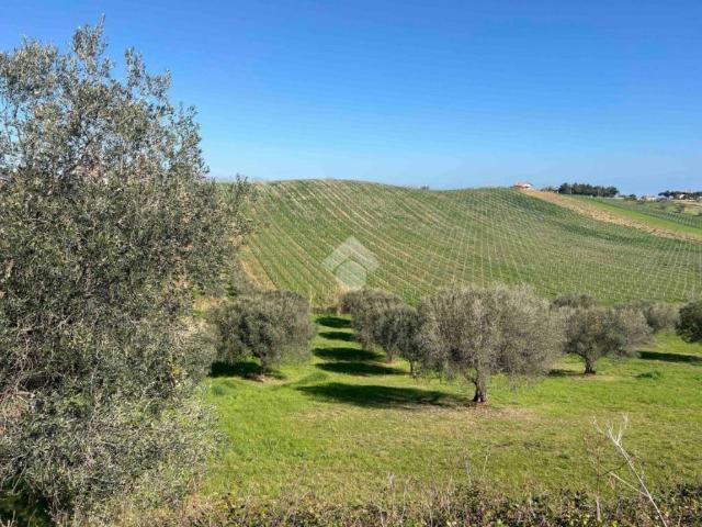 Terreno in vendita a Roseto Degli Abruzzi, Abruzzo