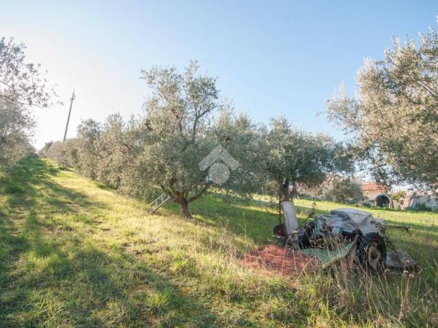 Terreno in vendita a Roseto Degli Abruzzi, Abruzzo