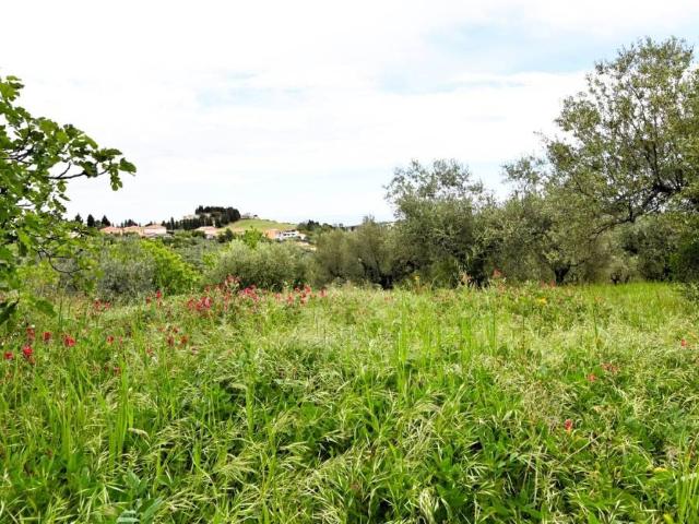 Terreno in vendita a Giammartino, Roseto Degli Abruzzi