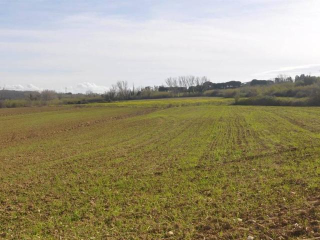 Terreno in vendita a Rosignano Marittimo, Toscana