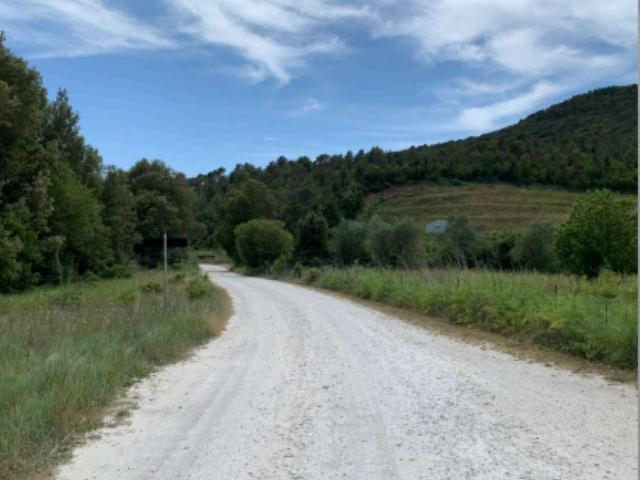 Terreno in vendita a Rosignano Marittimo, Toscana