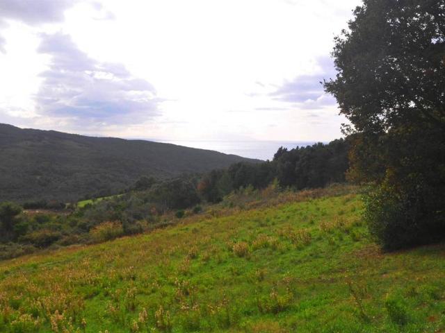 Terreno in vendita a Rosignano Marittimo, Toscana
