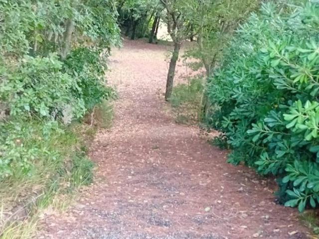 Terreno in vendita a Rosignano Marittimo, Toscana