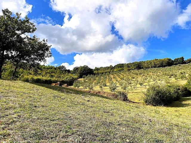 Terreno in vendita a La Malavolta, Rosignano Marittimo