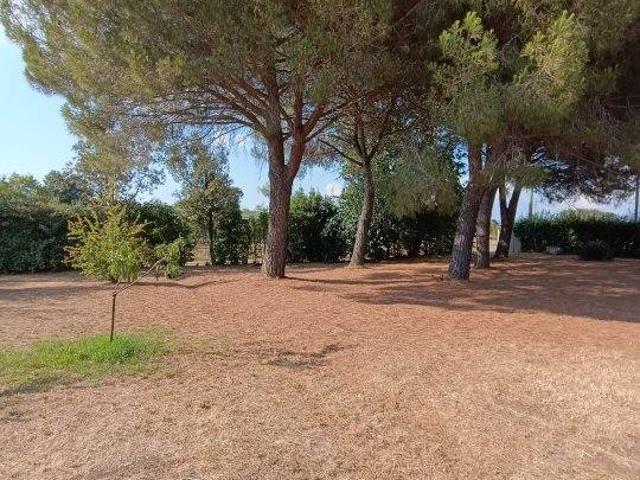 Terreno in vendita a Rosignano Marittimo, Toscana