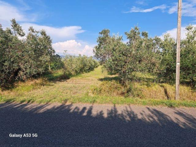 Terreno in vendita a Rosignano Marittimo, Toscana