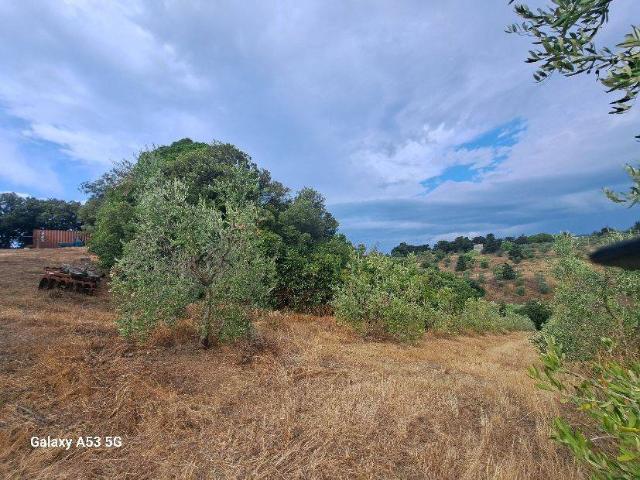 Terreno in vendita a Rosignano Marittimo, Toscana