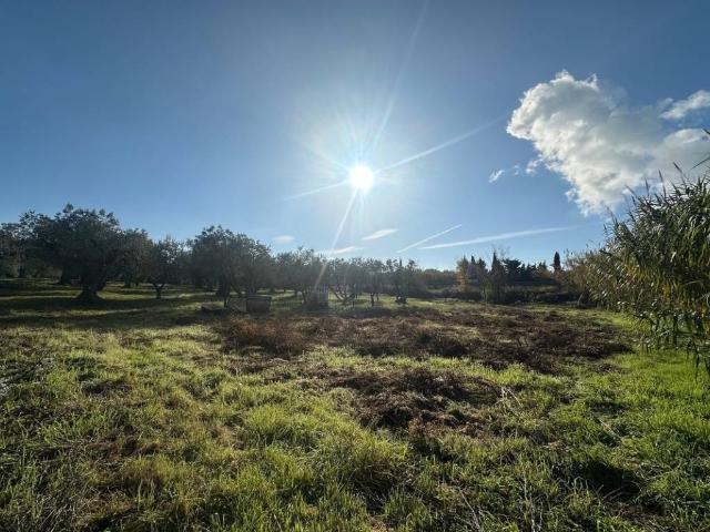 Terreno in vendita a Rosignano Marittimo, Toscana