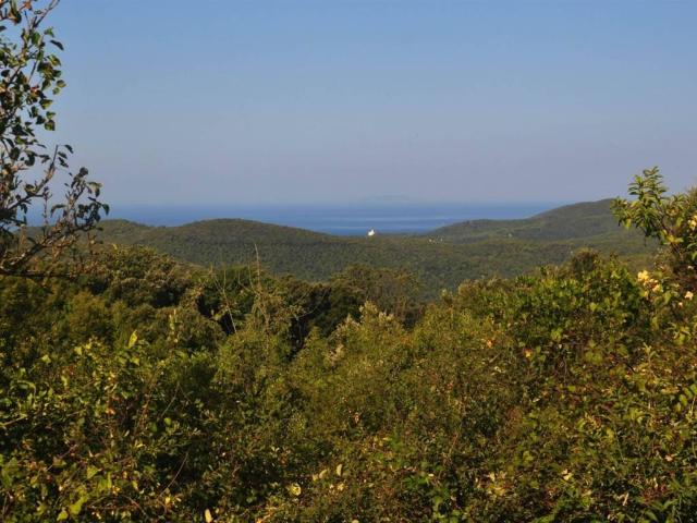 Terreno in vendita a Rosignano Marittimo, Toscana