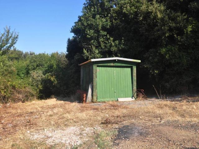 Terreno in vendita a Rosignano Marittimo, Toscana