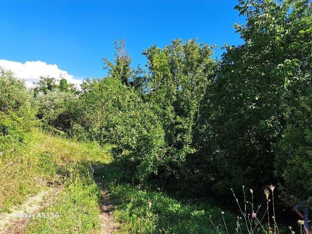 Terreno in vendita a Acquabona, Rosignano Marittimo