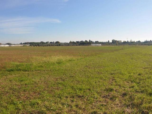 Terreno in vendita a Rosignano Marittimo, Toscana