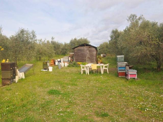 Terreno in vendita a Rosignano Marittimo, Toscana