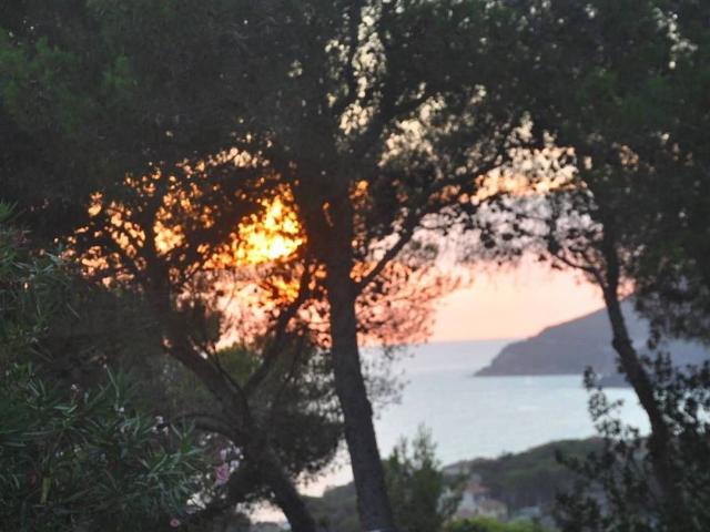 Terreno in vendita a Rosignano Marittimo, Toscana