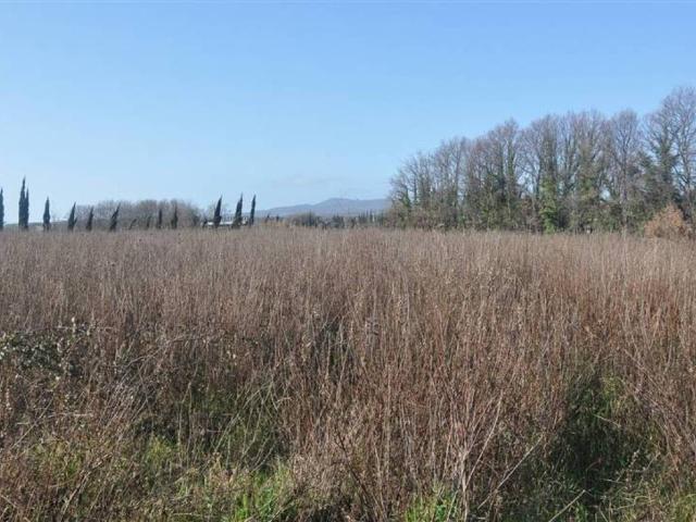 Terreno in vendita a Acquabona, Rosignano Marittimo