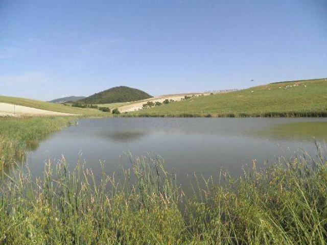 Terreno in vendita a Acquabona, Rosignano Marittimo