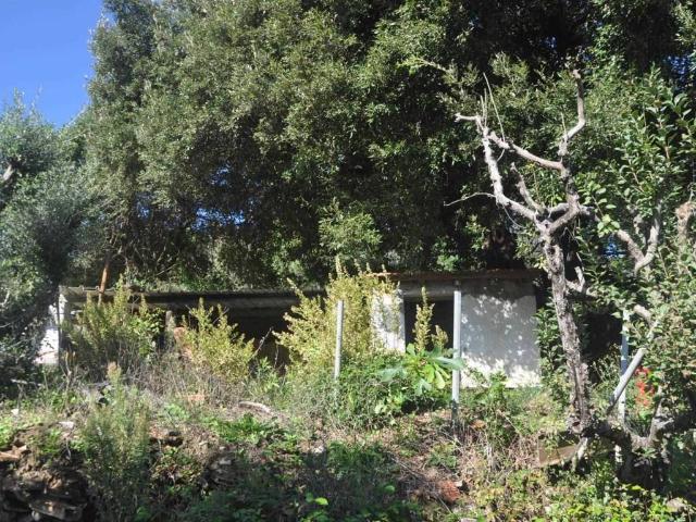 Terreno in vendita a Rosignano Marittimo, Toscana