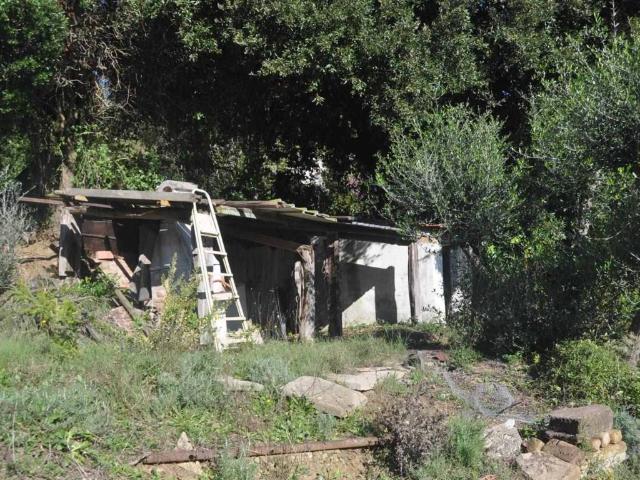 Terreno in vendita a Rosignano Marittimo, Toscana