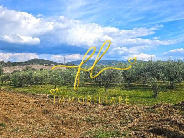 Terreno in vendita a Acquabona, Rosignano Marittimo