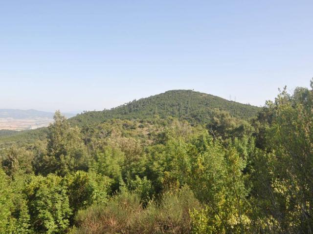 Terreno in vendita a Rosignano Marittimo, Toscana