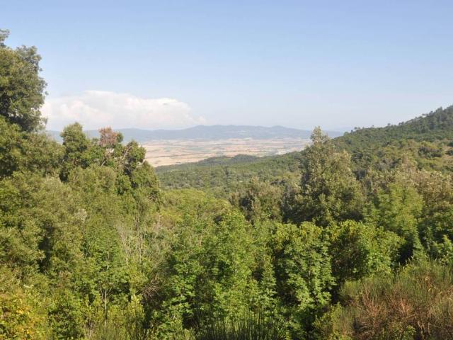Terreno in vendita a Rosignano Marittimo, Toscana