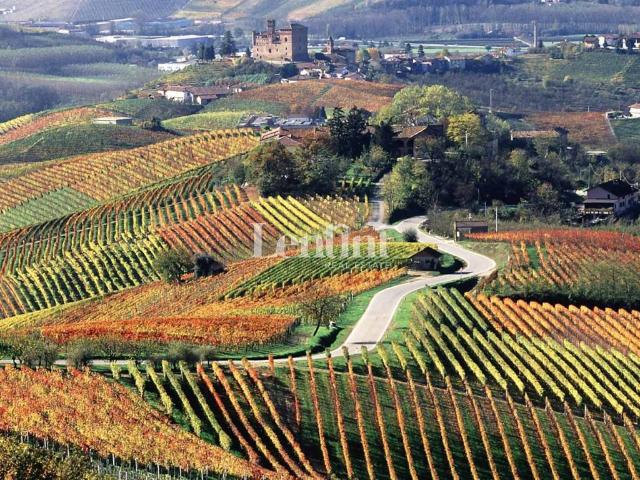 Terreno in vendita a Piemonte, Alessandria