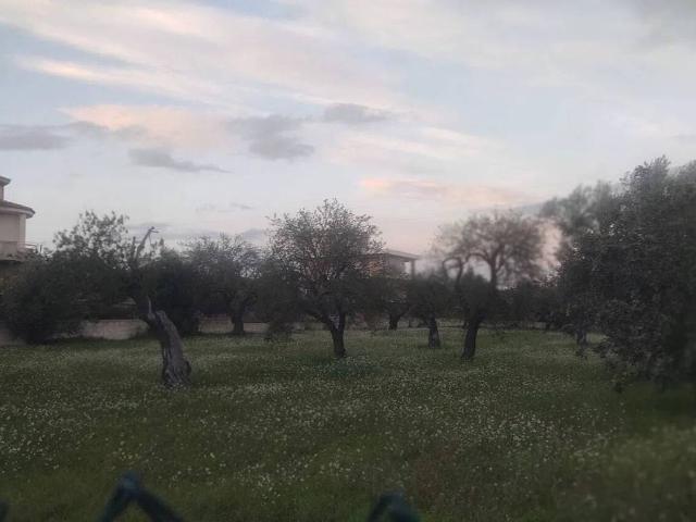 Terreno in vendita a Rosolini, Siracusa