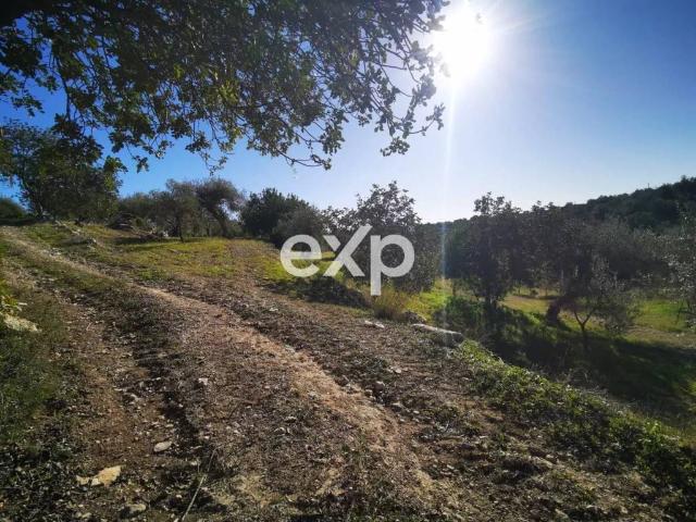 Terreno in vendita a Rosolini, Sicilia