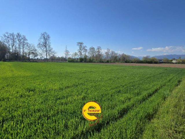 Terreno in vendita a Rossano Veneto, Veneto