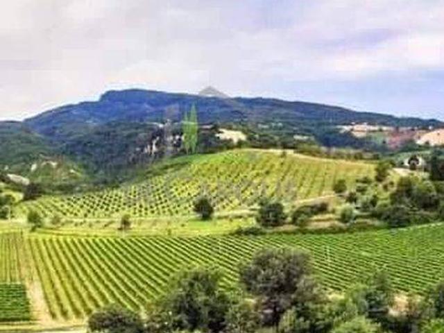 Terreno in vendita a Marche, Ascoli Piceno