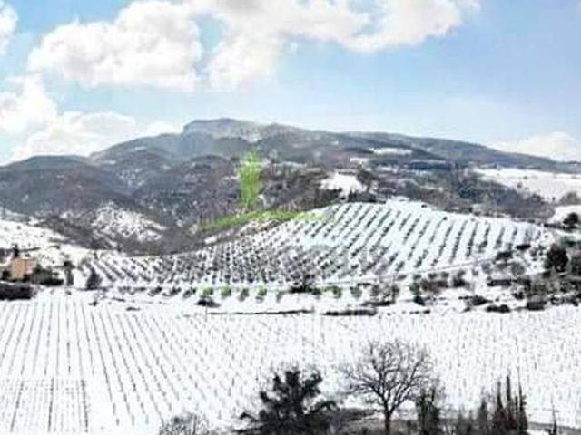 Terreno in vendita a Marche, Ascoli Piceno