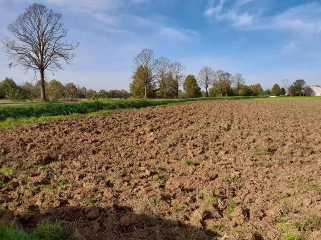 Terreno in vendita a Castelletto, Roverbella