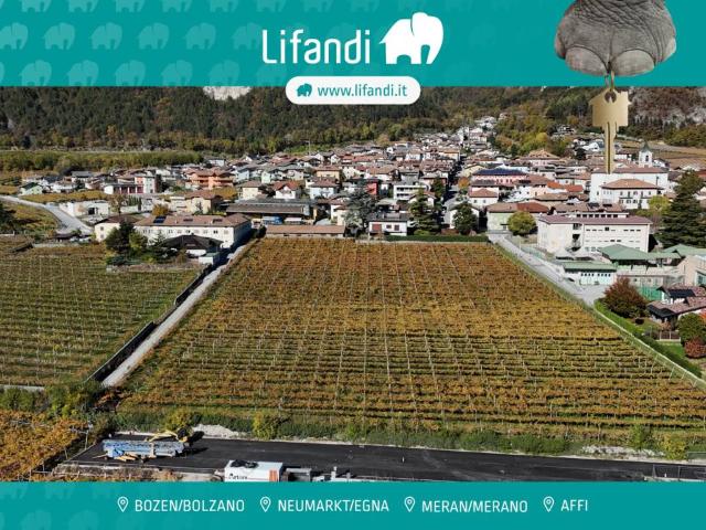 Terreno in vendita a Comunità Rotaliana-Königsberg, Roverè Della Luna