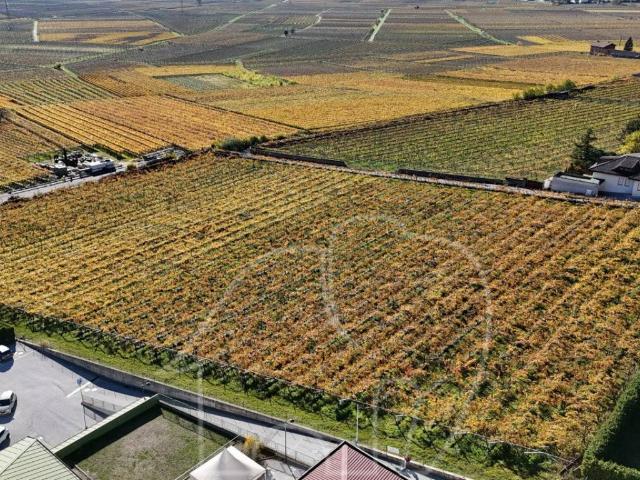 Terreno in vendita a Comunità Rotaliana-Königsberg, Roverè Della Luna