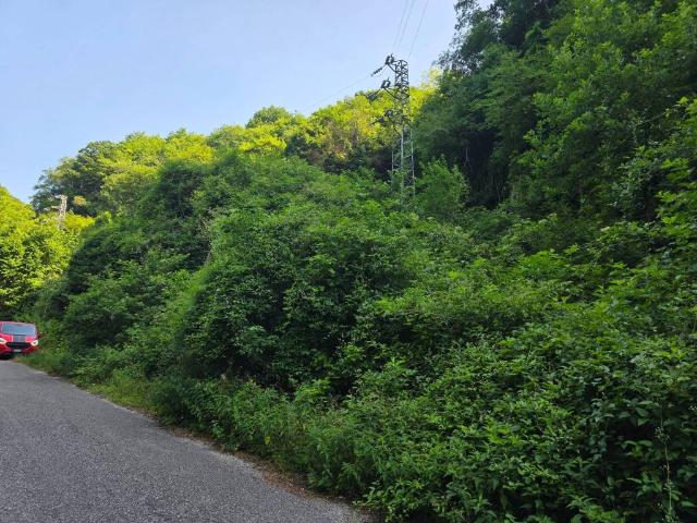Terreno in vendita a Roverè Veronese, Veneto